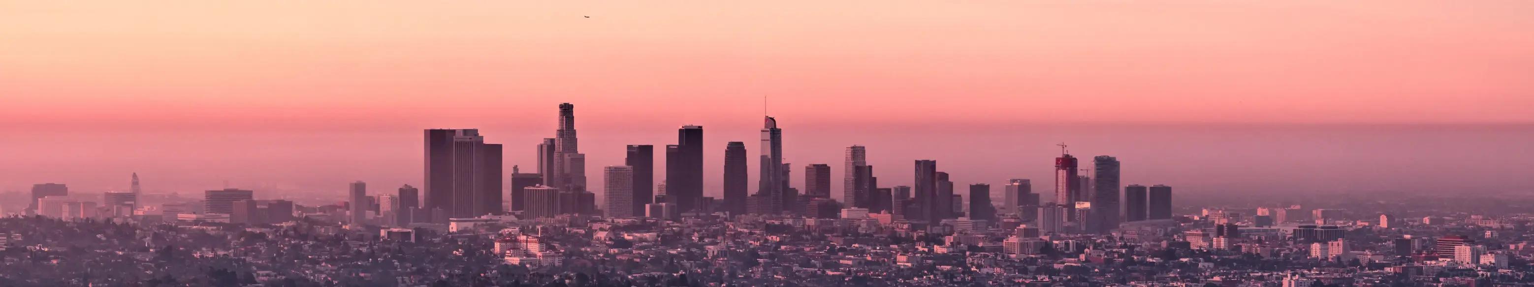 Lax view